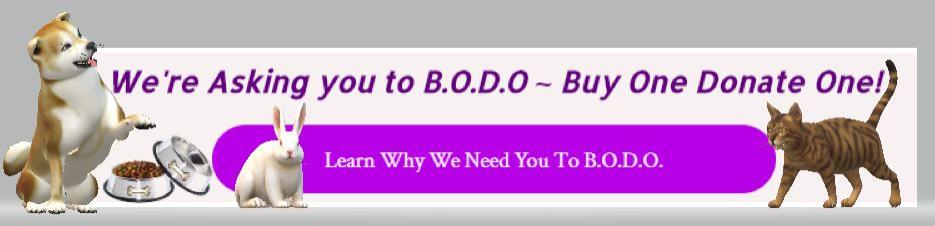 Learn How to B.O.D.O.